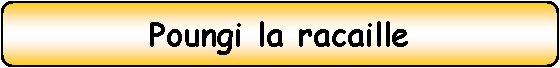 Rectangle  coins arrondis: Poungi la racaille